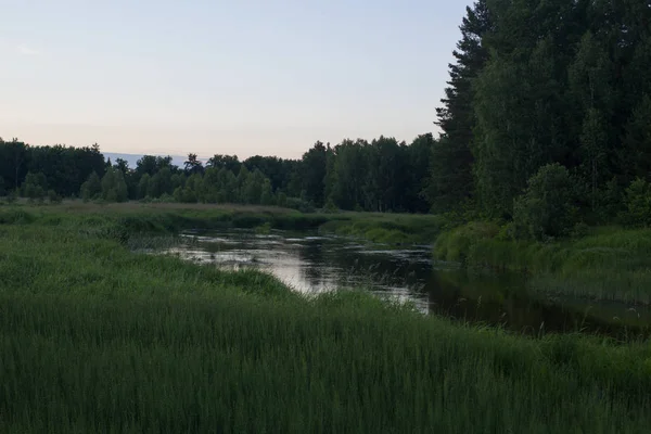 森の川の夏の夕日 — ストック写真