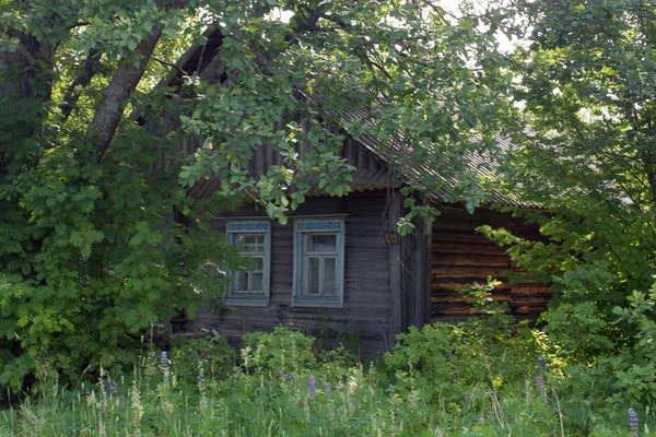 夏にロシアの村の眺めで古い放棄された木造住宅 — ストック写真