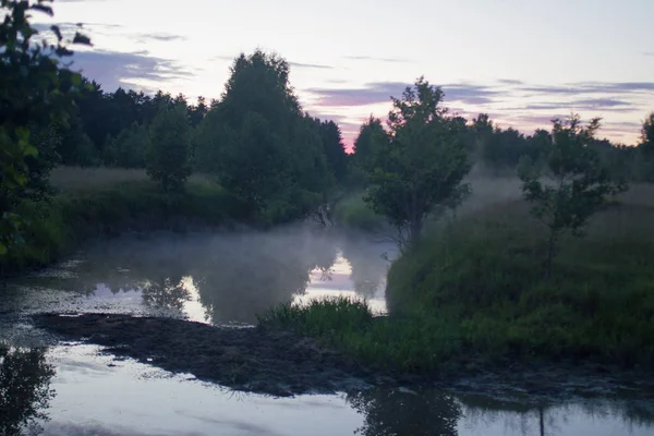 Zomer Zonsondergang Rivier Het Bos — Stockfoto