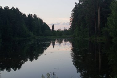 Orta Rusya 'da bir orman gölünün kıyısında yaz günbatımı