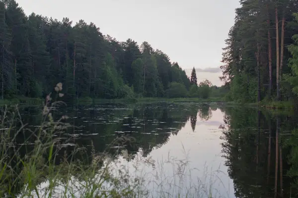 orman göl yaz manzara