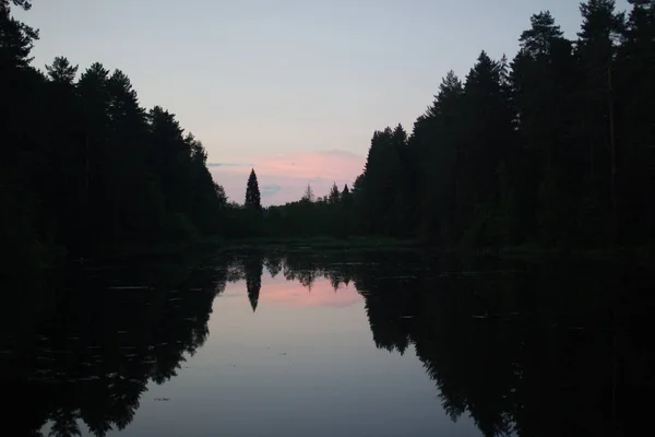 Tramonto Estivo Sulla Riva Lago Forestale Nella Russia Centrale — Foto Stock