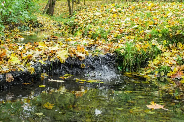 Automne Vue Ensoleillée Ville Moscou Dans Parc Kolomenskoye — Photo