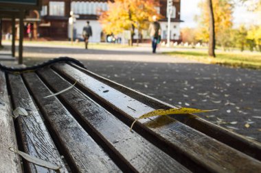 Rus Çarı Alexei Mikhailovich Romanov 'un Ahşap Sarayı Sonbaharda Güneşli bir günde Müze Parkı' nda Kolomenskoye rezervi