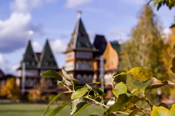 Palacio Madera Del Zar Ruso Alexei Mijáilovich Románov Otoño Día —  Fotos de Stock