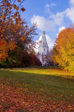  Kolomenskoye Parkı 'ndaki Moskova şehrinin güneşli sonbahar manzarası