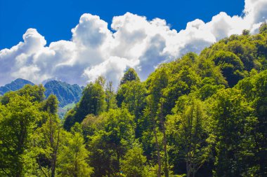 Rosa Khutor, Sochi 'deki Kafkas dağlarının yaz manzaraları