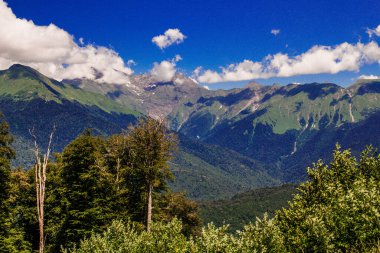 Rosa Khutor, Sochi 'deki Kafkas dağlarının yaz manzaraları