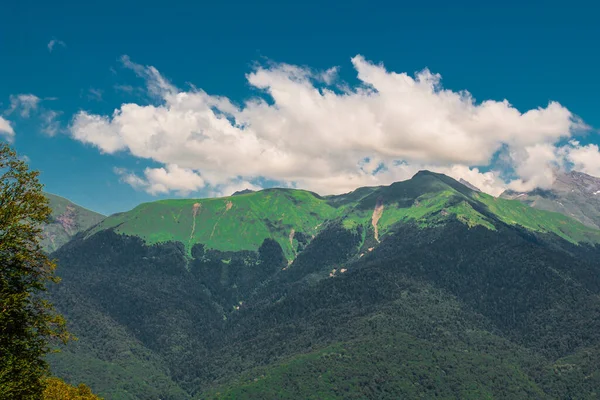 Rosa Khutor, Sochi 'deki Kafkas dağlarının yaz manzaraları