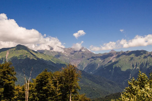 Paysages Estivaux Des Montagnes Caucase Rosa Khutor Sotchi — Photo