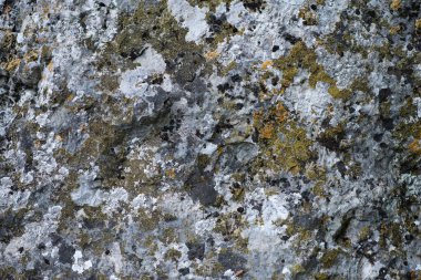 Doğal kaya dokusu ve liken.
