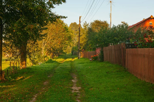 Rosyjska Prowincja Mała Wioska Wiejska Ulica Brudna Droga Otoczona Zielenią — Zdjęcie stockowe