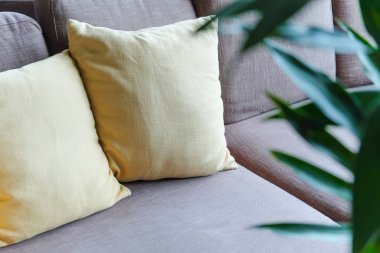 Kanepe oturma odasında ve ayrıntı