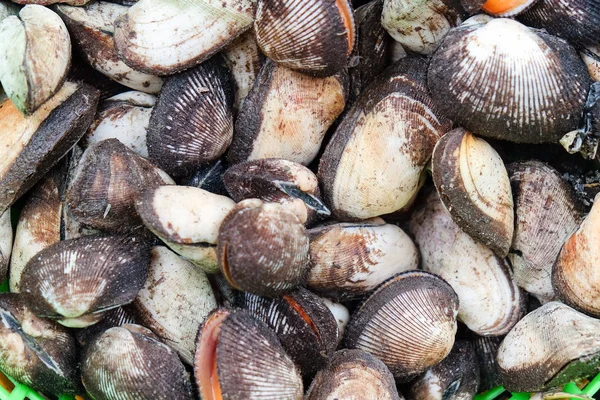 Mariscos Frescos Mercado Pescado — Foto de Stock