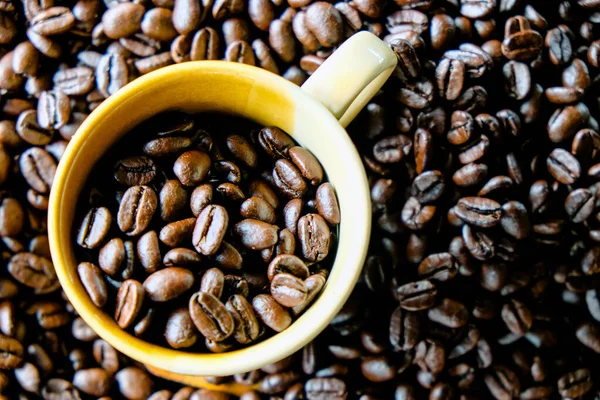 Cup Coffee Coffee Beans — Stock Photo, Image