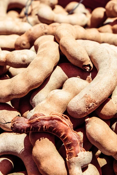 Close Tamarind Fruit — Stock Photo, Image