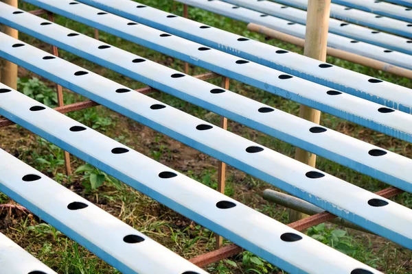 植物性水耕栽培 水耕栽培の背景 — ストック写真