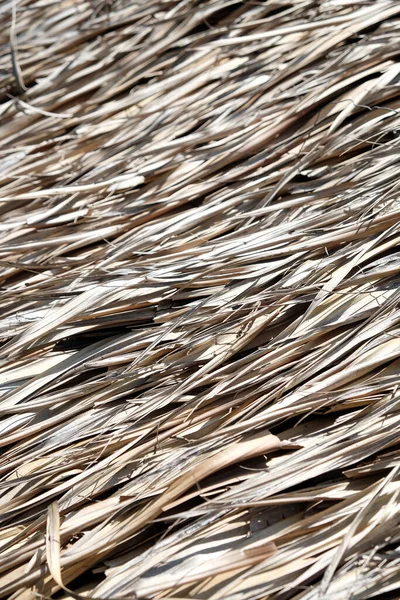 Detail Thatch Straw Roof Background — Stock Photo, Image