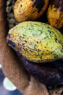 Kakao kabuğu arkaplanının resmi