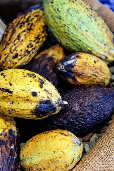 Kakao Kabuğu Arkaplanının Resmi — Stok fotoğraf