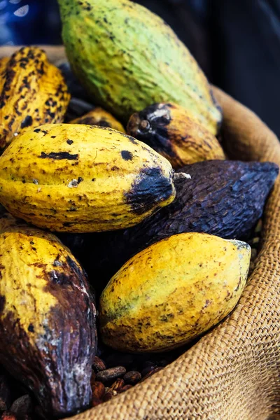 Kakao Kabuğu Arkaplanının Resmi — Stok fotoğraf