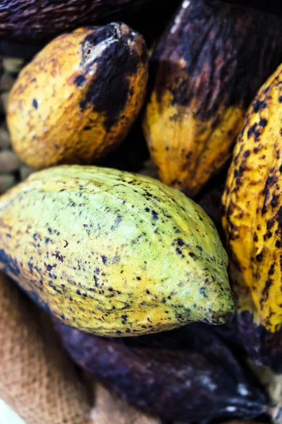 Bild Der Kakaoschoten Hintergrund — Stockfoto