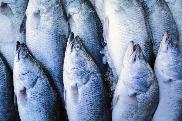 Deniz Ürünleri Markette Taze Barramundi Balığı — Stok fotoğraf