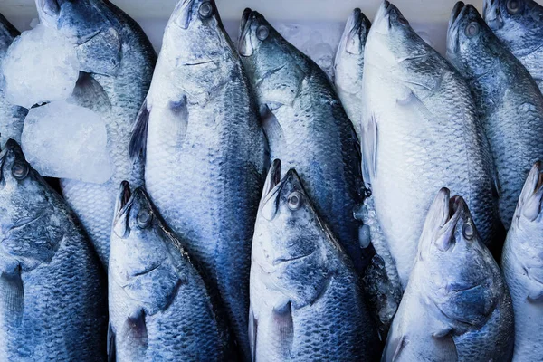 Marisco Barramundi Fresco Pescado Mercado —  Fotos de Stock