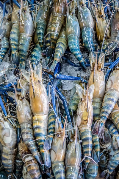 Camarão Rio Fresco Mercado Frutos Mar — Fotografia de Stock