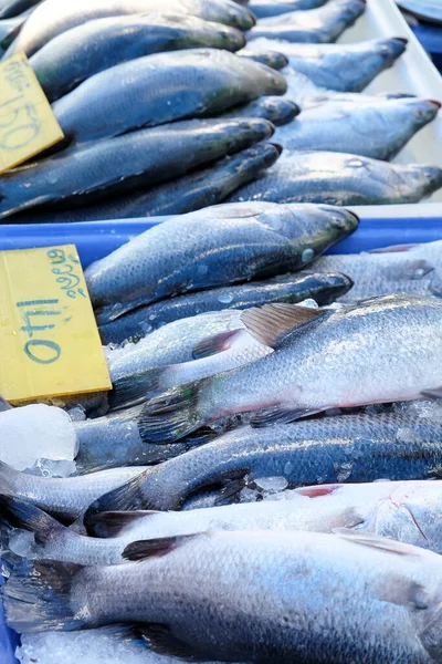 Deniz Ürünleri Taze Barramundi Balığı Yerel Pazarda Tayland — Stok fotoğraf