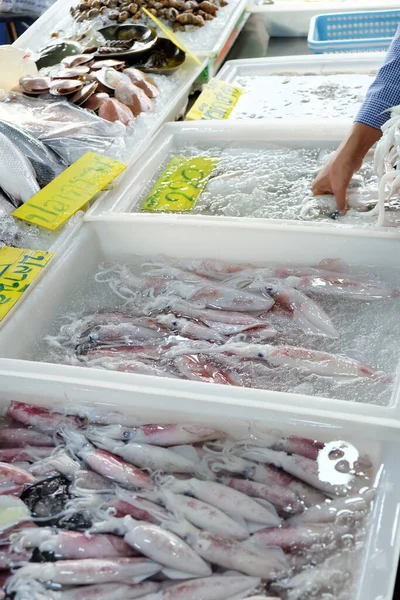 Deniz Ürünleri Tayland Daki Deniz Ürünleri Pazarında Taze Mürekkep Balığı — Stok fotoğraf