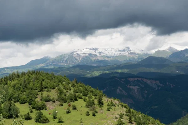 Artvin Türkiye Nin Kuzeydoğusunda Karadeniz Den Yaklaşık Kesimde Bir Şehirdir — Stok fotoğraf