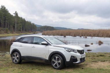 Suv Peugeot 3008 yaylada.