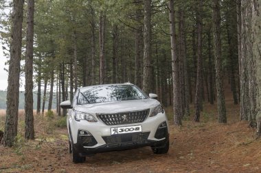 Suv Peugeot 3008 yaylada.