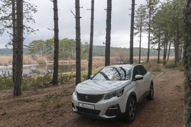 Suv Peugeot 3008 yaylada.