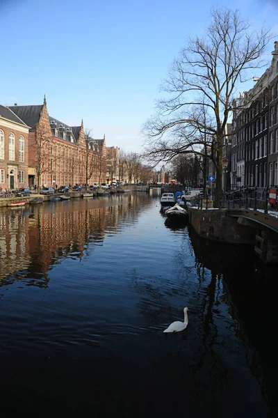 2013 Amsterdam Amsterdam Столица Самый Густонаселенный Муниципалитет Нидерландов — стоковое фото
