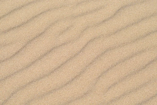 Sandstrand Vom Wind Dekardiert — Stockfoto