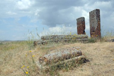 09 Temmuz 2012 Bitlis Türkiye.Ahlat Mezar Taşları, dimenison ve tasarımıile ünlüdür. Mezarlık Selçuklu dönemine ait kalıntılar unesco dünya mirası listesine alındı. 