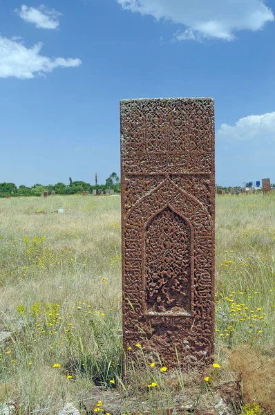 Červenec 2012 Bitlis Turecko Náhrobní Kameny Ahlat Jsou Proslulé Svými — Stock fotografie