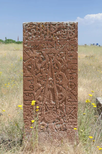 Červenec 2012 Bitlis Turecko Náhrobní Kameny Ahlat Jsou Proslulé Svými — Stock fotografie