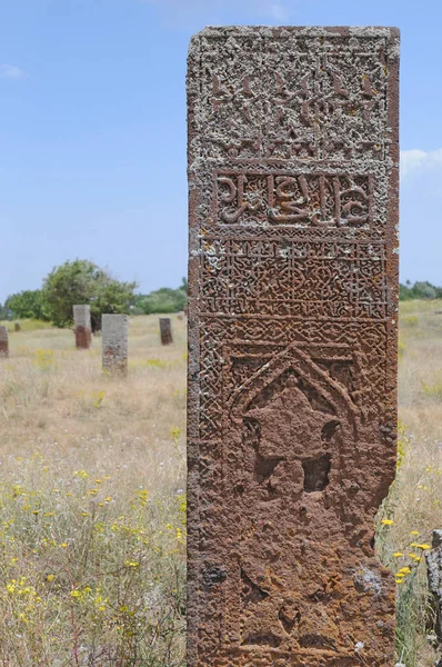 Julho 2012 Bitlis Turquey Lápides Ahlat São Famosas Por Sua — Fotografia de Stock