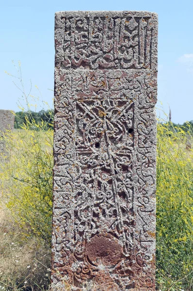 Julho 2012 Bitlis Turquey Lápides Ahlat São Famosas Por Sua — Fotografia de Stock