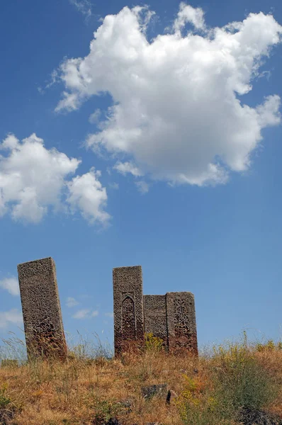 Červenec 2012 Bitlis Turecko Náhrobní Kameny Ahlat Jsou Proslulé Svými — Stock fotografie