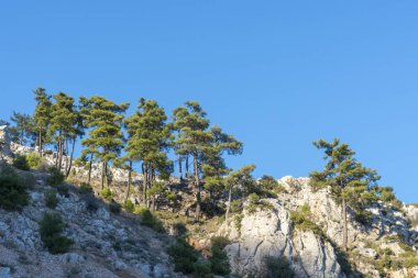 Muğla ili akyaka ilçesi.