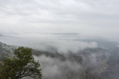 Aydın Bozdoğan'da bulunan Arapapisti Kanyonu, yüksekliği yle bir doğa harikası... Belediye Kemer Baraj Gölü üzerinden kanyon turu na göz atabilirsiniz.