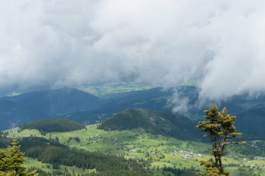 Artvin, Türkiye'nin kuzeydoğusunda, Karadeniz'in iç kesimlerine yaklaşık 30 km uzaklıkta bir şehirdir.Bölge muhteşem doğasıyla ünlüdür..