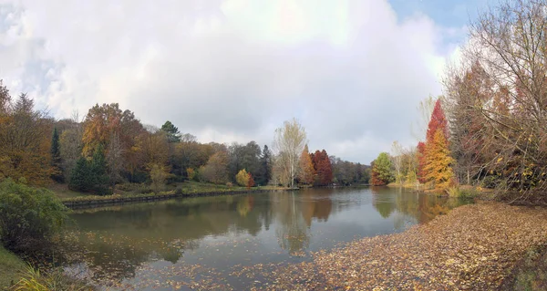 Ноября 2017 Года Istanbul Ataturk Arboretum — стоковое фото