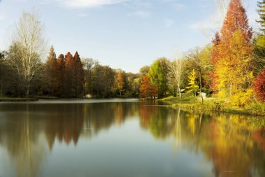 Sonbahar, sonbahar olarak da bilinir. Bazı kültürler sonbahar ekinoksu 