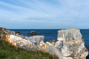 Türkiye'nin Karadeniz kıyısındaki kayalık plaj.
