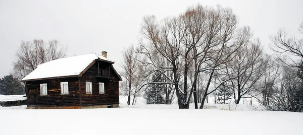 Vinter Aladag Plateau Bolu Provins Turkiet — Stockfoto